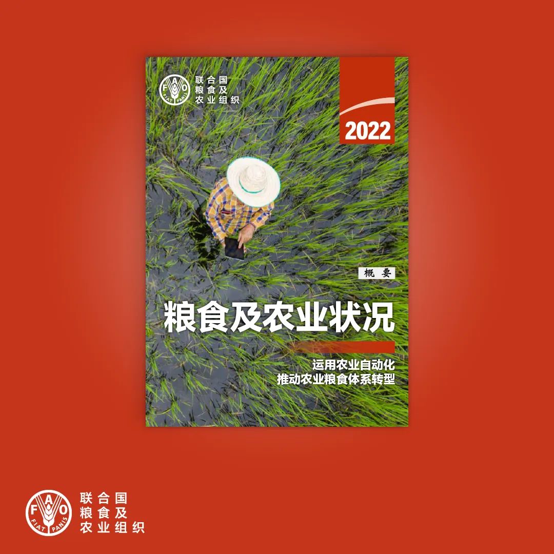 AG凯发K8真人娱乐|向日葵app下载汅api免费丝瓜ios